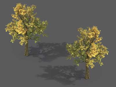 Two Deciduous Trees With Yellow And Green Leaves And Brown Trunks Casting Shadows 3d model