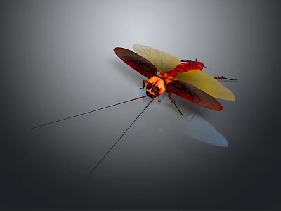 Vibrant Red And Yellow Cockroach With Spread Wings And Long Antennae On Gray Background 3d model