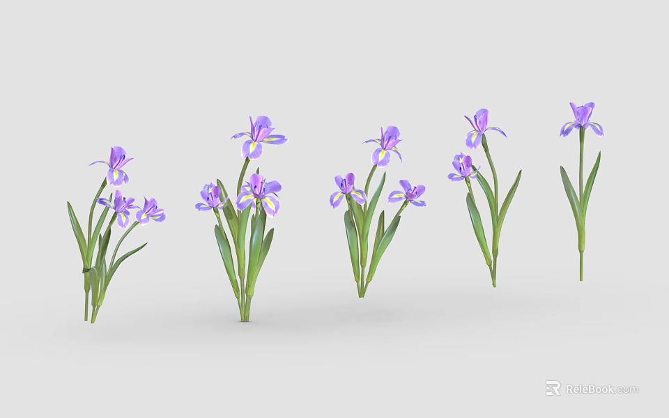 Multiple Vibrant Purple Flowering Plants With Delicate Petals Green Leaves And Stems 3d model 