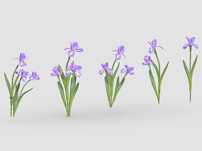 Multiple Vibrant Purple Flowering Plants With Delicate Petals Green Leaves And Stems 3d model