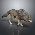 Realistic 3D Wolf Model With Growling Pose And Detailed Gray Fur