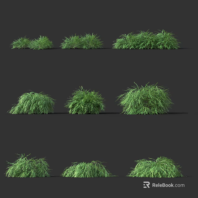 Green Shrubs in Different Forms Arranged on Black Background with Natural Texture 3d model 