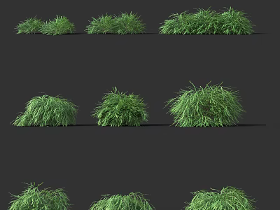 Green Shrubs in Different Forms Arranged on Black Background with Natural Texture 3d model