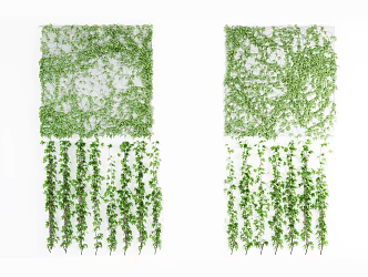 Plant wall 3d model