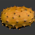 Fresh Shiny Orange Kiwano Horned Melon with Spiky Exterior on Dark Background