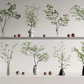 Stylish Vases With Green Foliage On Shelves And Decorative Balls For Indoor Decor