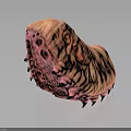 Unique Pink Animal with Textured Skin Multiple Eyes and Black Spikes on Dark Reflective Surface