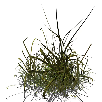 modern grass 3d model