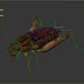 grasshopper insect cartoon locust animation locust anime locust anime game character 3d model
