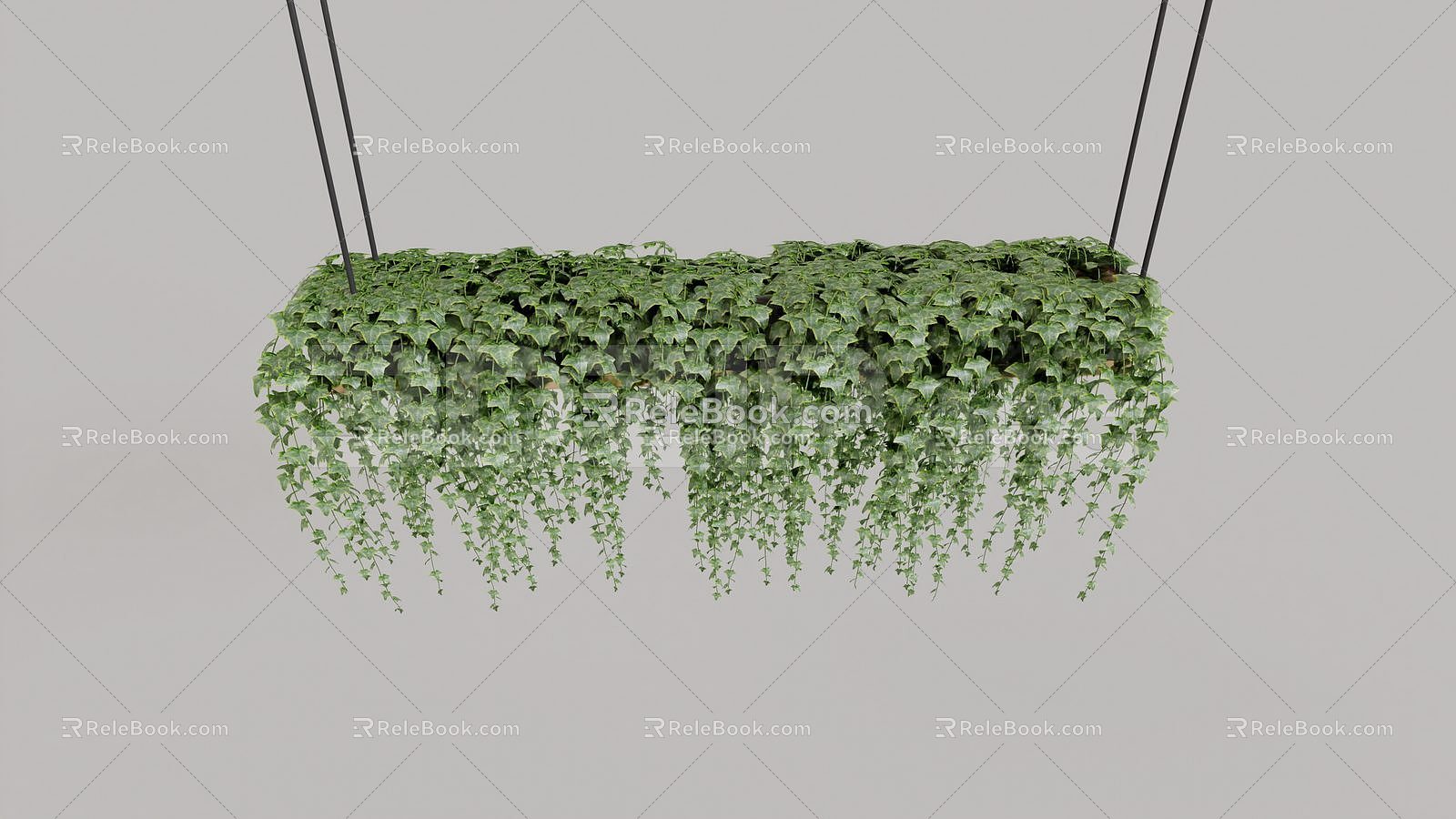 hanging basket plant green grass green plant 3d model