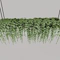 hanging basket plant green grass green plant 3d model