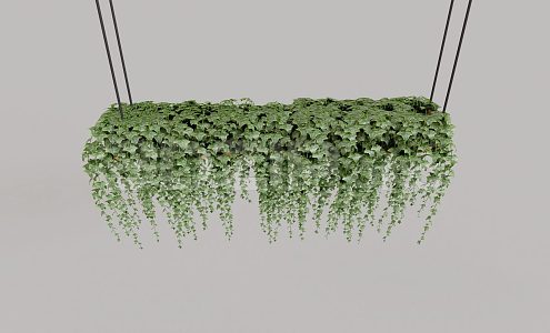 hanging basket plant green grass green plant 3d model