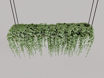 hanging basket plant green grass green plant 3d model