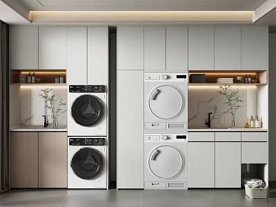Home Balcony With Washer Dryer Storage Cabinets And Decorative Plants 3d model