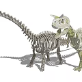Modern Skeleton Dinosaur Skeleton 3d model