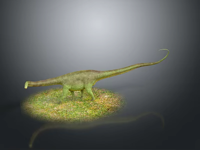 Green Long Necked Dinosaur With Long Tail Standing On Grassland In Gray Background 3d model
