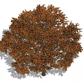 The Modern Tree 3d model