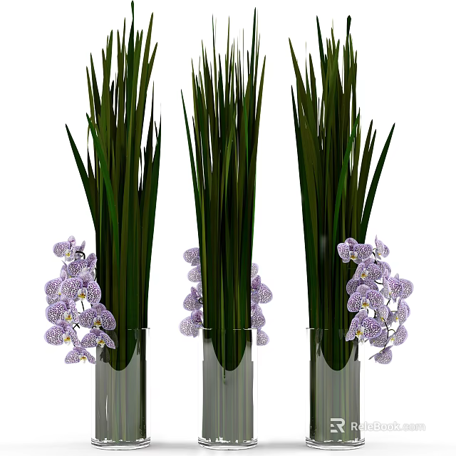Elegant Purple Orchid Flowers In Tall Transparent Vases With Green Leaves 3d model 