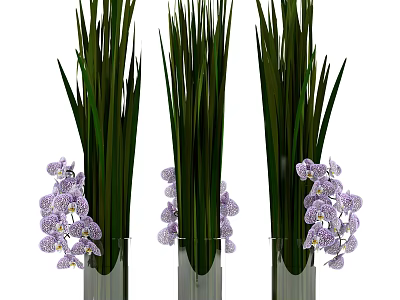 Elegant Purple Orchid Flowers In Tall Transparent Vases With Green Leaves 3d model