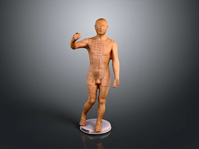 Human Anatomical Model Displaying Organ Structures And Hair Details 3d model
