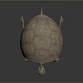 Detailed 3D Anatomical Rendering of Animal Organ Structure with Skeleton Shell and Fur