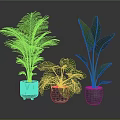Indoor Tropical Plants with Green Patterned and Gray Pots on Dark Reflective Surface