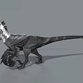 Black and White Feathered 3D Dinosaur Model With Crested Head Open Mouth And Clawed Limbs