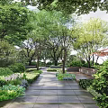 Diverse Plant Combination With Trees Bushes And Lush Greenery Along Garden Pathway