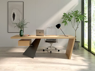 Modern Wooden Desk with Laptop Black Lamp Green Plant and Chair in Bright Room 3d model