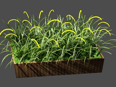 Vibrant Plant Combination with Green Grass and Yellow Curved Flowers in Wooden Planter Box 3d model