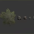 Evergreen Pine Tree And Natural Stones With Various Sizes And Green Foliage