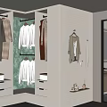 Organized Walk in Closet Interior Design With Green Panel White Drawers And Hanging Clothes