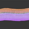 Skin Organ and Hair Structure Cross Section Showing Layers and Texture