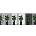 Decorative Room Dividers With Various Patterns And Green Plants For Modern Home Interior Design