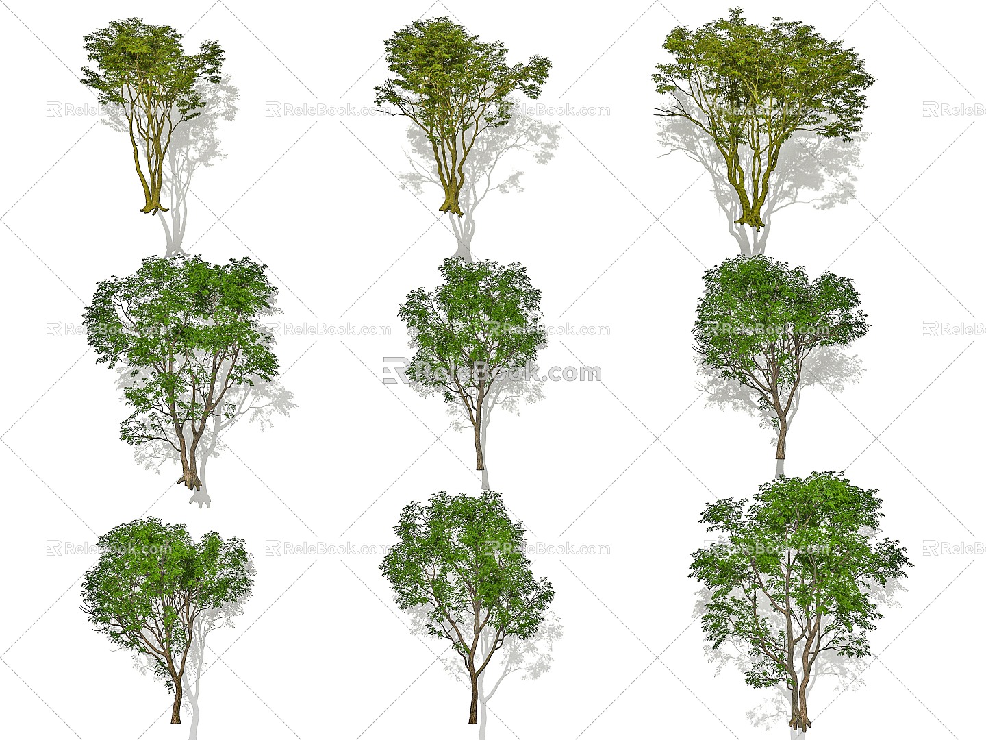 Modern Garden Trees Arbor Street Trees Landscape Trees Maple Acer Sophora japonica Combination 3d model