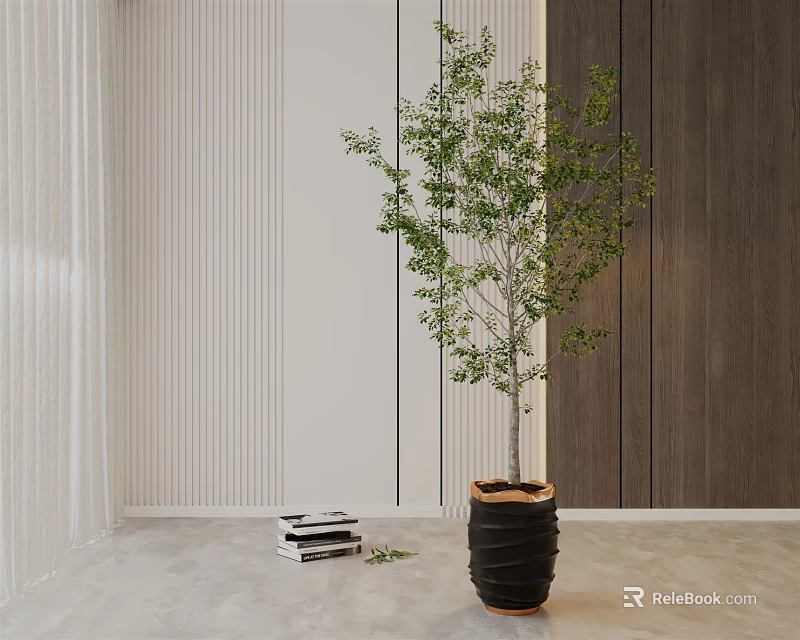 Modern Indoor Bonsai Plant in Black Pot with Green Leaves and Stack of Books 3d model 