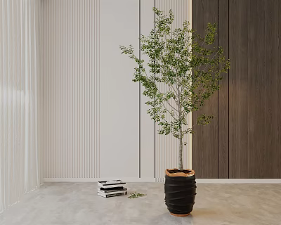 Modern Indoor Bonsai Plant in Black Pot with Green Leaves and Stack of Books 3d model