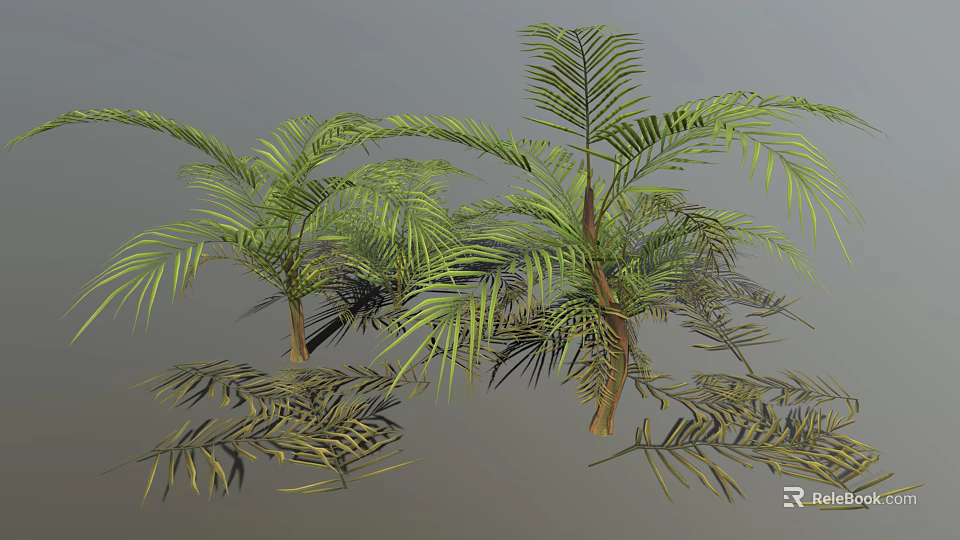 Lush Palm Trees With Green Feathery Leaves Brown Trunks And Scattered Leaves In 3D Render 3d model 