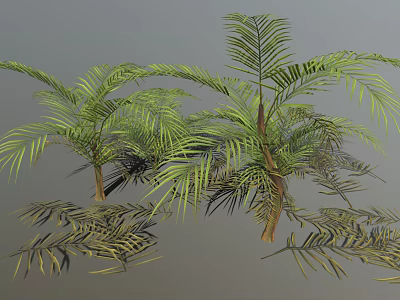Lush Palm Trees With Green Feathery Leaves Brown Trunks And Scattered Leaves In 3D Render 3d model