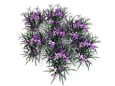Vibrant Lush Clustered Plants with Purple Flowers and Green Leaves 3d model