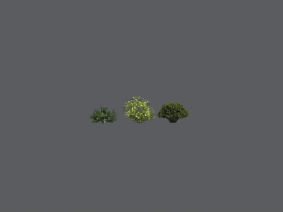 Three Different Colored Bushes with Dark Green and Yellow Green on Gray Background 3d model