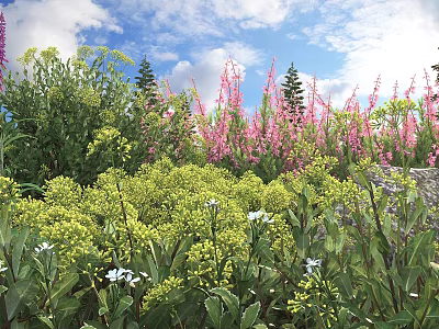 Vibrant Garden Shrubs Featuring Pink Yellow And White Flowers Under Blue Sky With Clouds 3d model