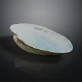 Marine Animal Clam Shell With Iridescent Blue Green Smooth Surface