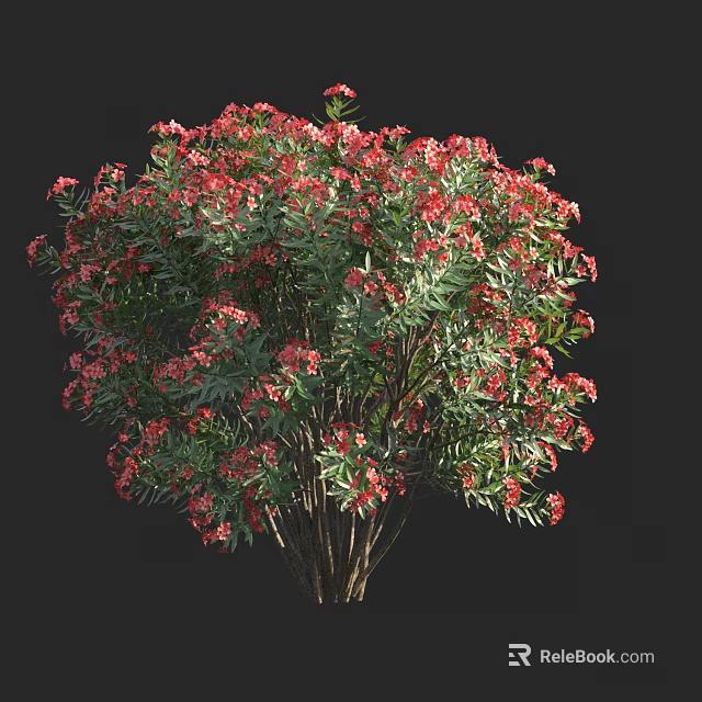 Vibrant Flowering Bush with Red Blooms and Green Foliage in Lush Growth 3d model 