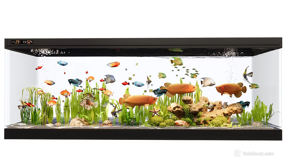 Stunning Aquarium With Various Colorful Fish Aquatic Plants And Decorative Rocks 3d model 