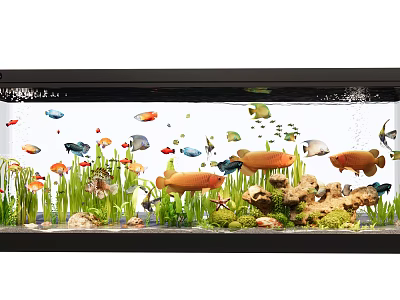 Stunning Aquarium With Various Colorful Fish Aquatic Plants And Decorative Rocks 3d model