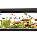 Stunning Aquarium With Various Colorful Fish Aquatic Plants And Decorative Rocks