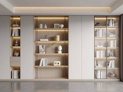 Modern Built in Bookcase Interior Design With Lighting Books And Decorative Items 3d model