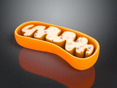 Innovative Medical Device With Orange Curved Container Holding Gel And Small Particles 3d model