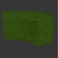 Green Trimmed Garden Hedge With Lush Foliage For Decorative Landscaping